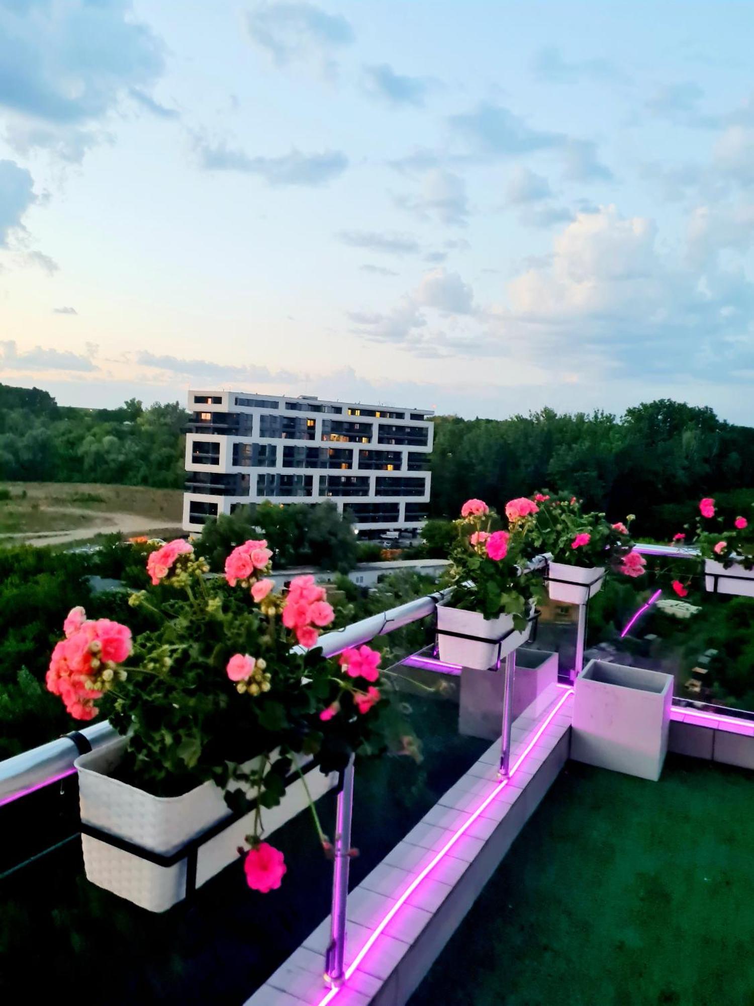 Penthouse View Aeroport 2 Apartamento Iasi