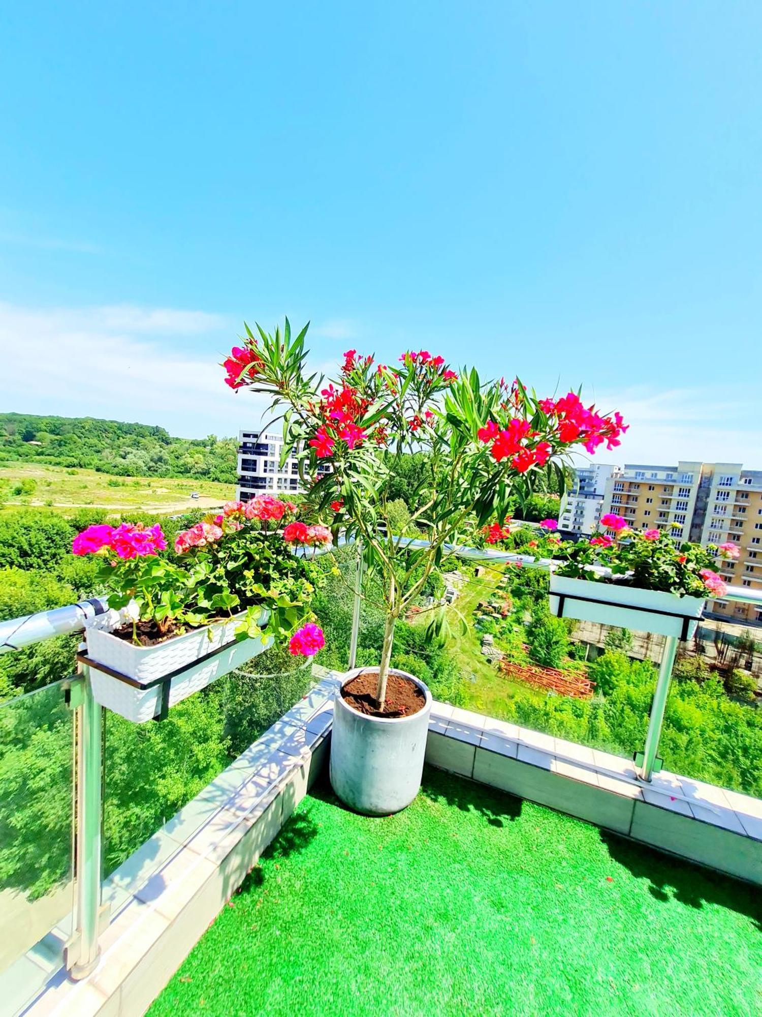 Penthouse View Aeroport 2